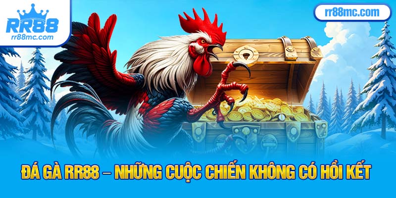 Đá gà RR88 – những cuộc chiến không có hồi kết